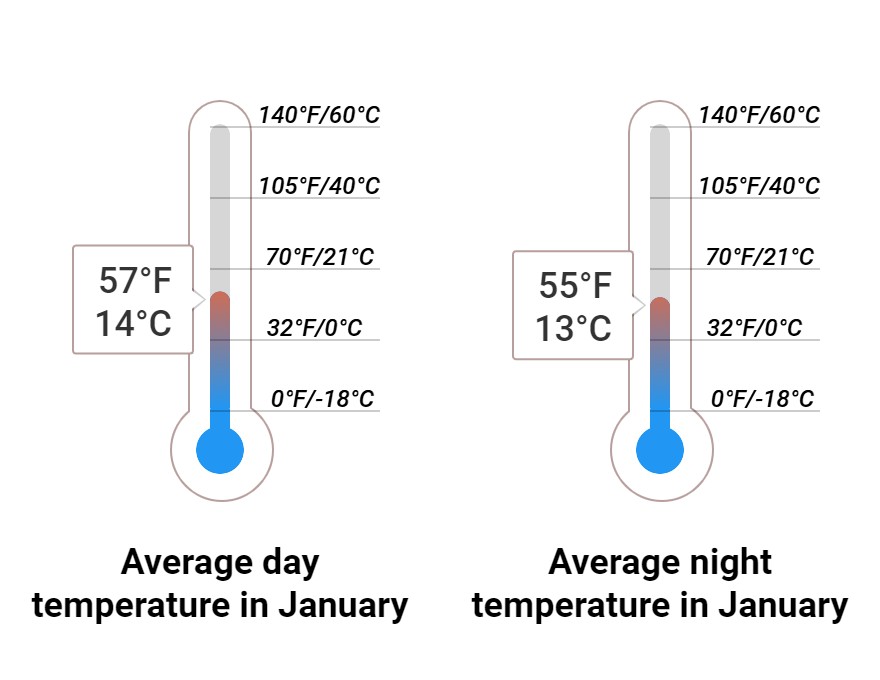 Average temperature